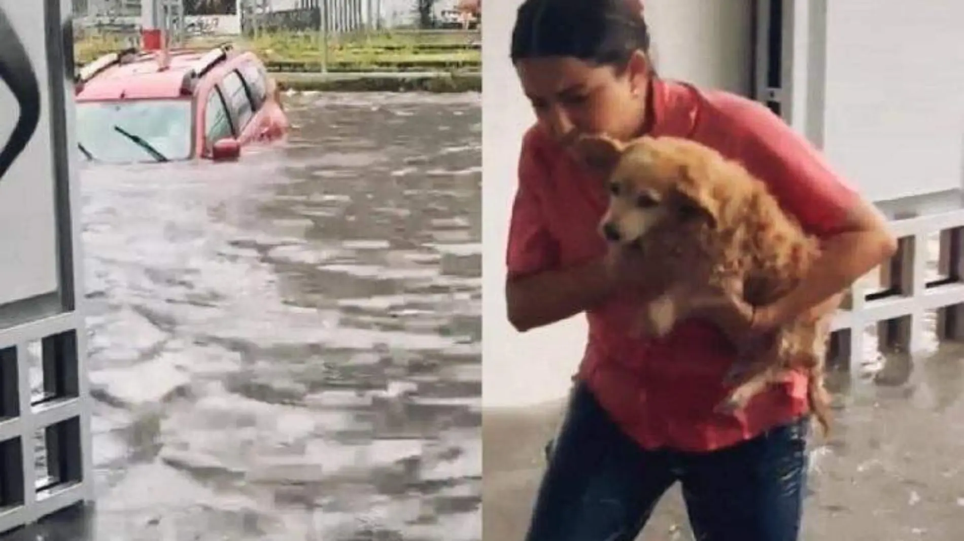 Rescate mujer y perro